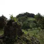 Ruins of a sugar plantation in tropical surroundings on Dominica