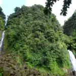Trafalgar Falls - Two big waterfalls in the jungle on Dominica
