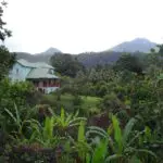 A house set in tropical surroundings in Trafalgar, Dominica