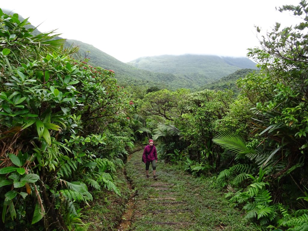 A woman hiking up small trail leading through lush vegetation on Dominica