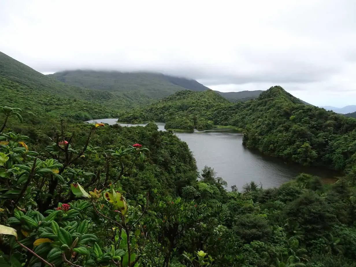 A mountain lake surrounded by tropical vegetation in Morne Trois Pitons National Park, Dominica