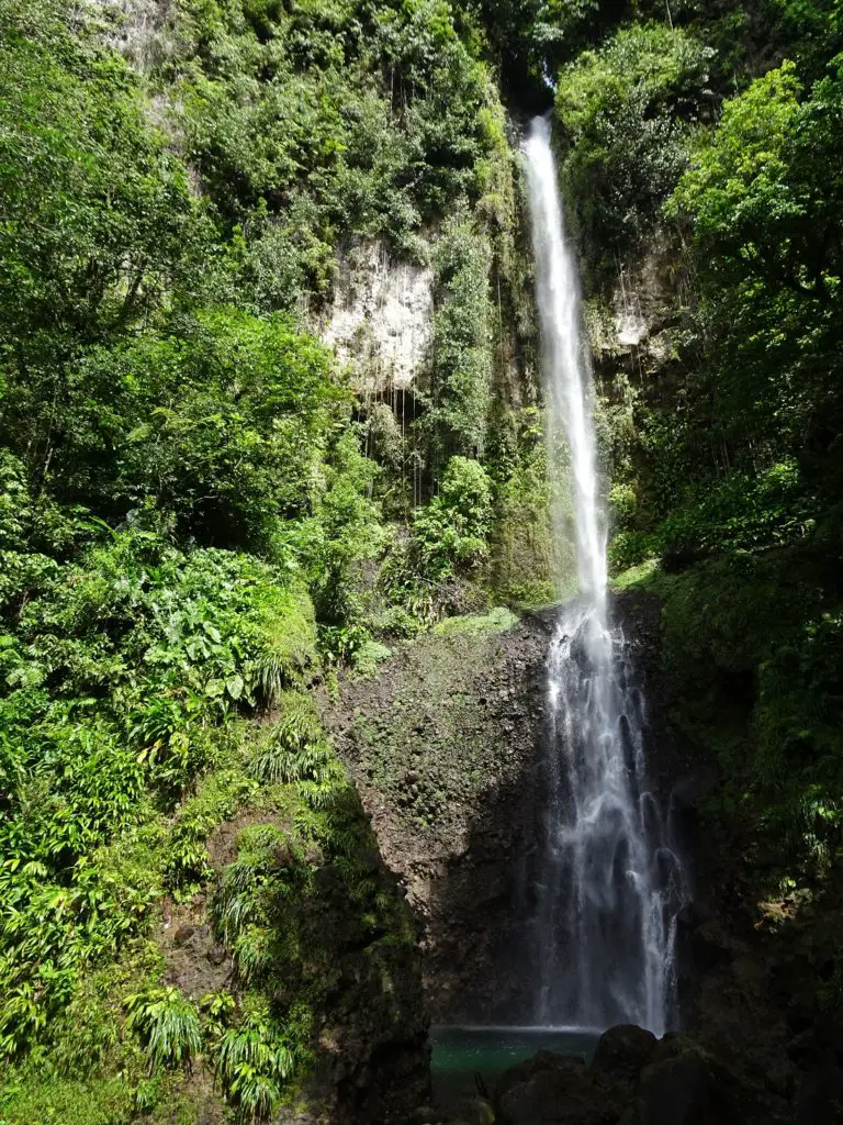 Middleham Falls - A big waterfall in the jungle on Dominica