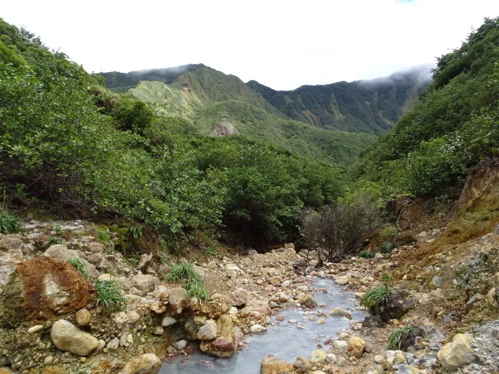 A valley with a small brook in Morne Trois Pitons National Park, Dominica
