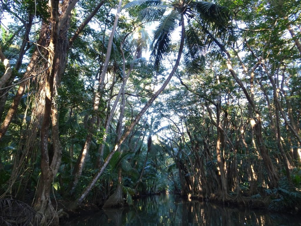 le voyage dominica