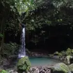 An emerald pool fed by a small waterfall surrounded by lush vegetation on Dominica