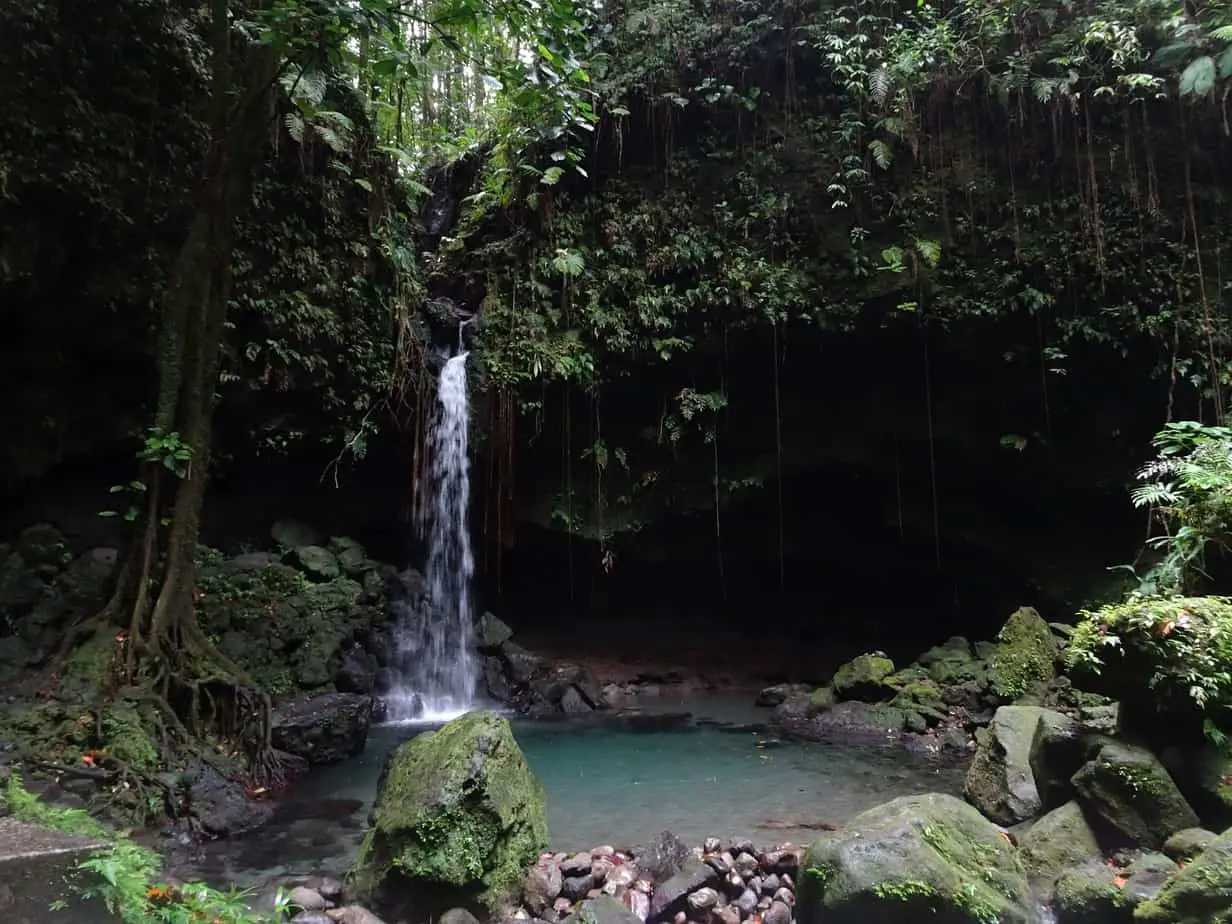 An emerald pool fed by a small waterfall surrounded by lush vegetation on Dominica