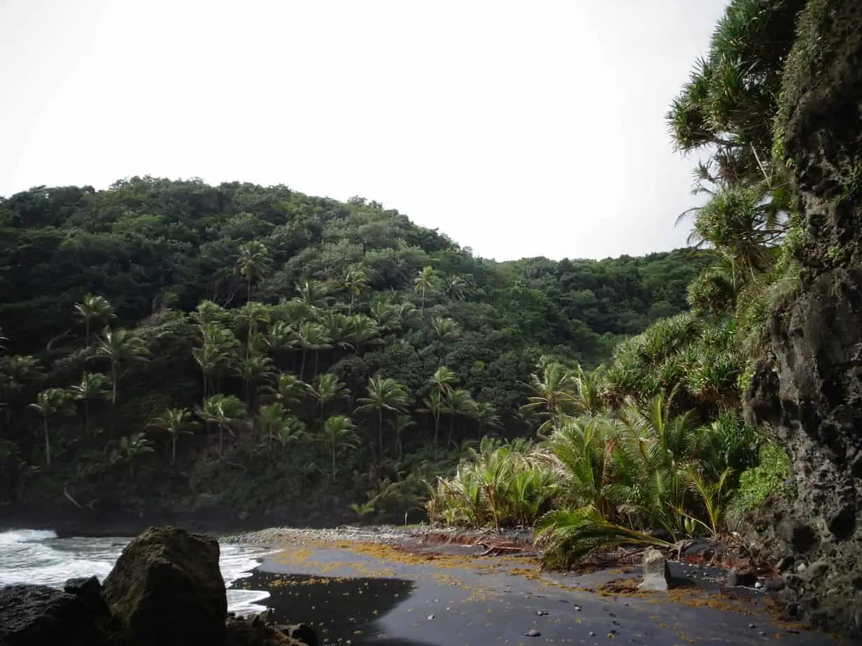 A black sand beach backed by coconut palms on Dominica (Secret Beach)
