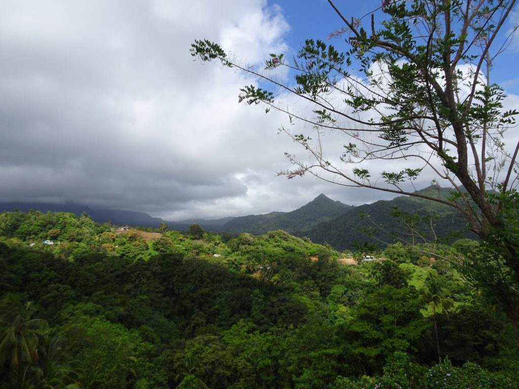 le voyage dominica