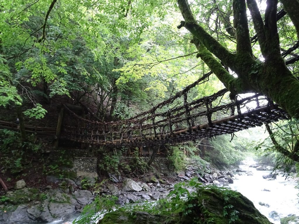 A traditional vine bridge over a river in the Iya Valley, Japan