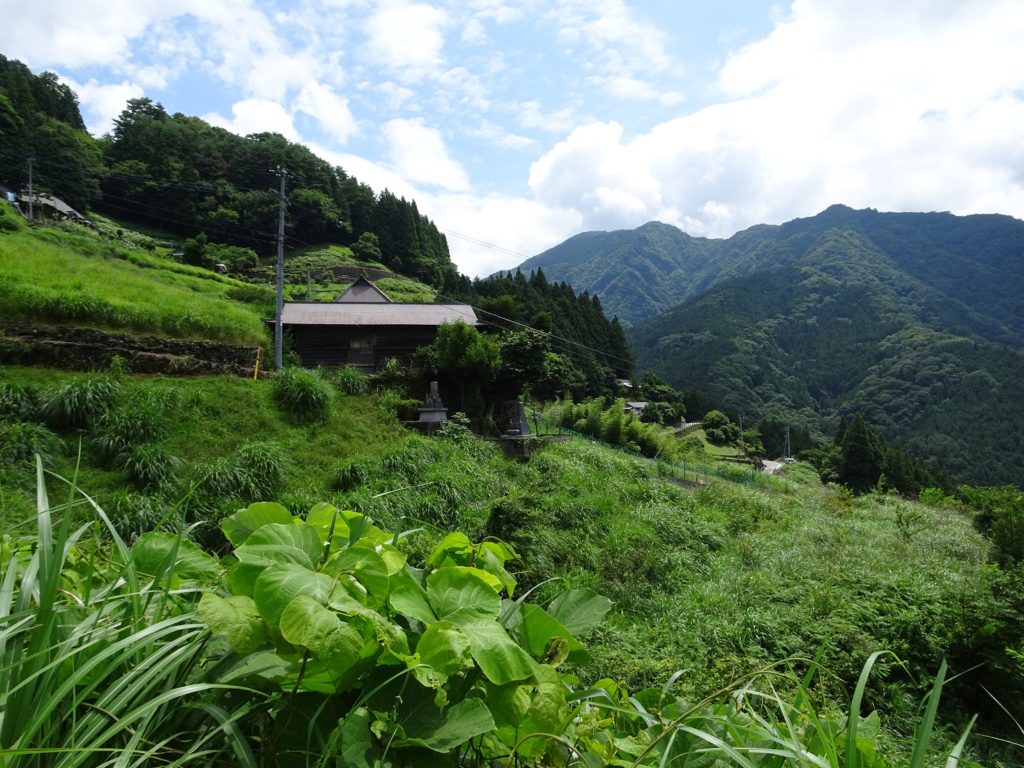 shikoku island tourism