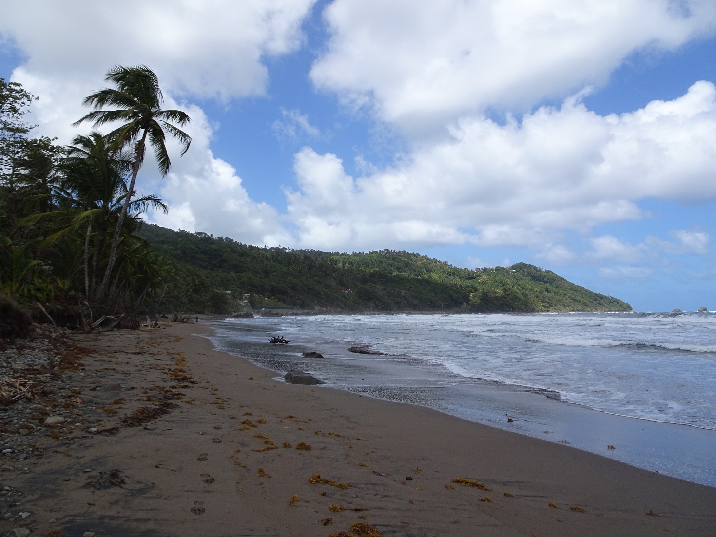 The 5 Most Beautiful Beaches in Dominica