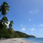 A view of Mero beach, a long black sand beach on Dominica