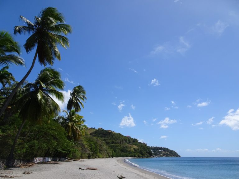 The 5 Most Beautiful Beaches in Dominica