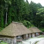 Traditional thatch-roofed buildings in Ochiai in Japans Iya Valley
