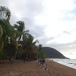People sitting under palms on a beach