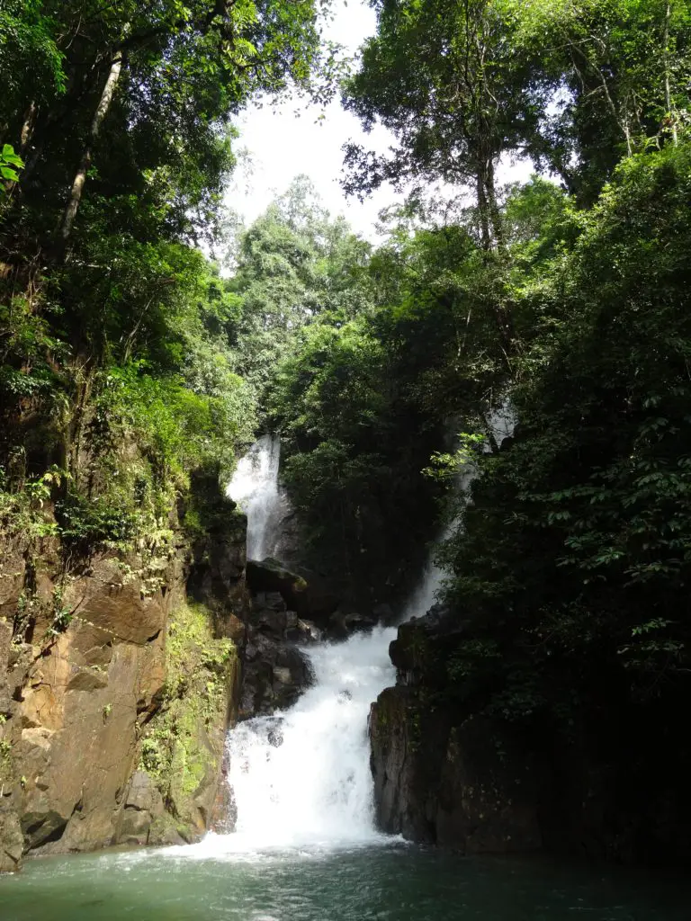 A waterfall in the jungle