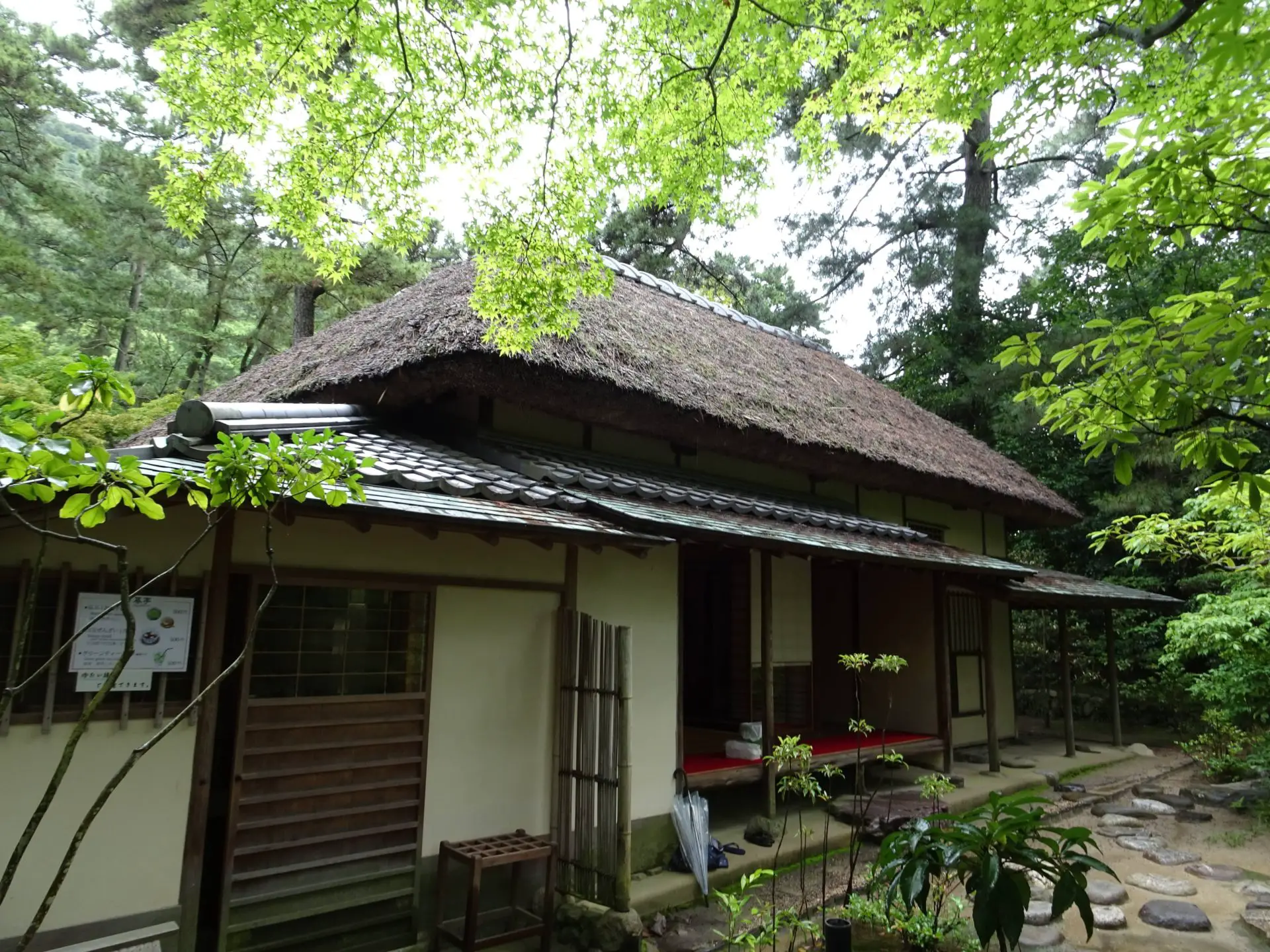 A reet-decked tea house in the forest