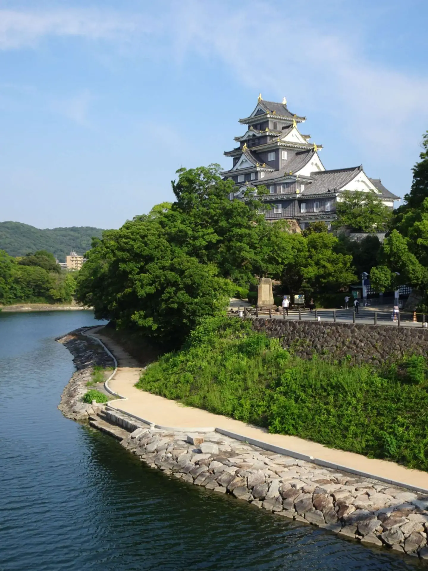A black Japanese castle seen over a river