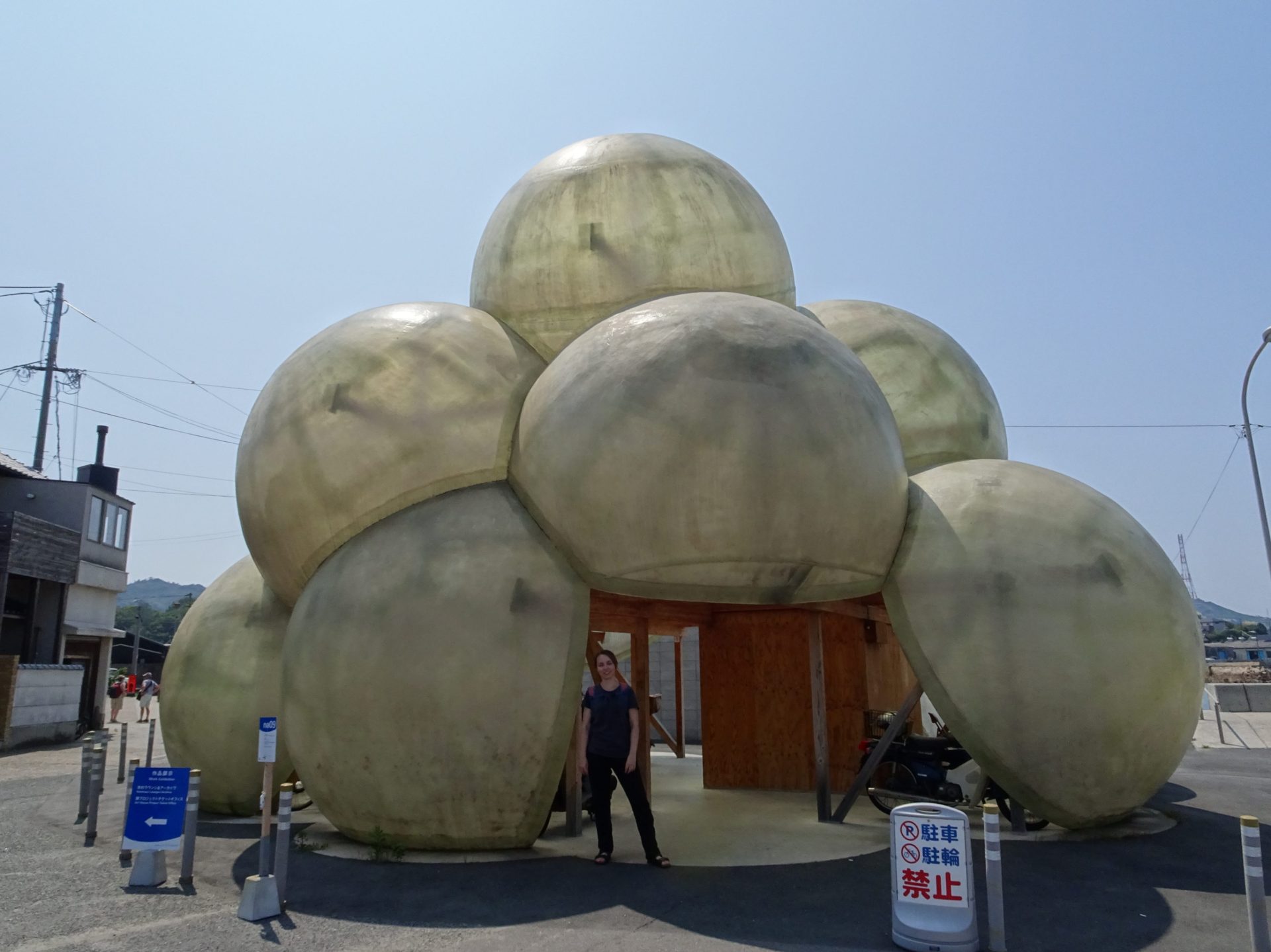 A giant sculpture of plastic grapes