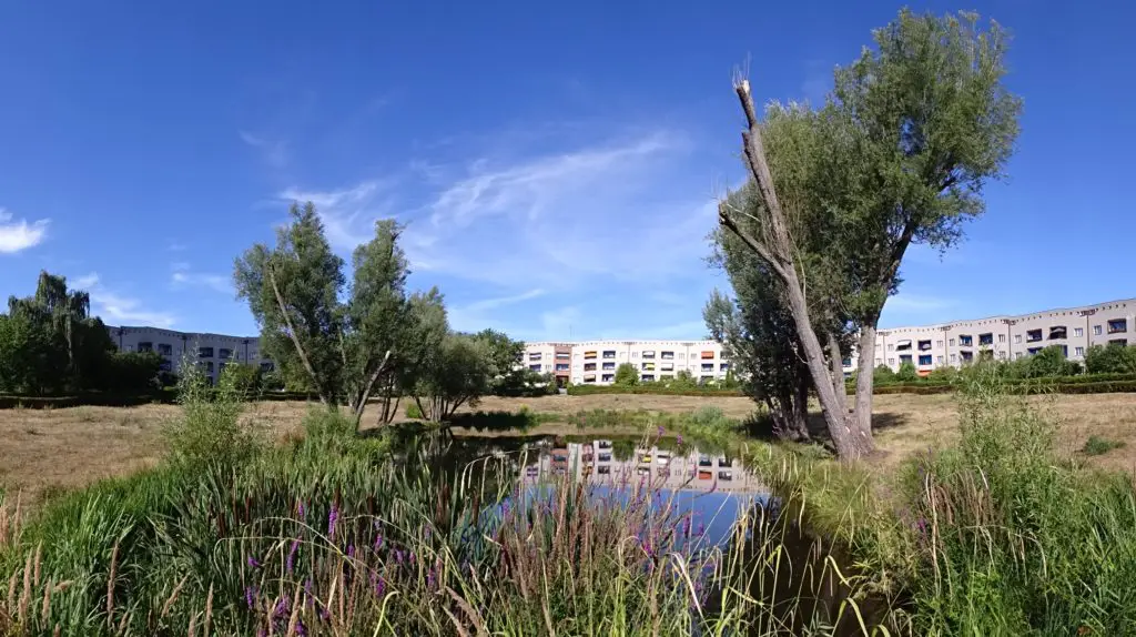 A small pond surrounded by a meadow and a large housing estate
