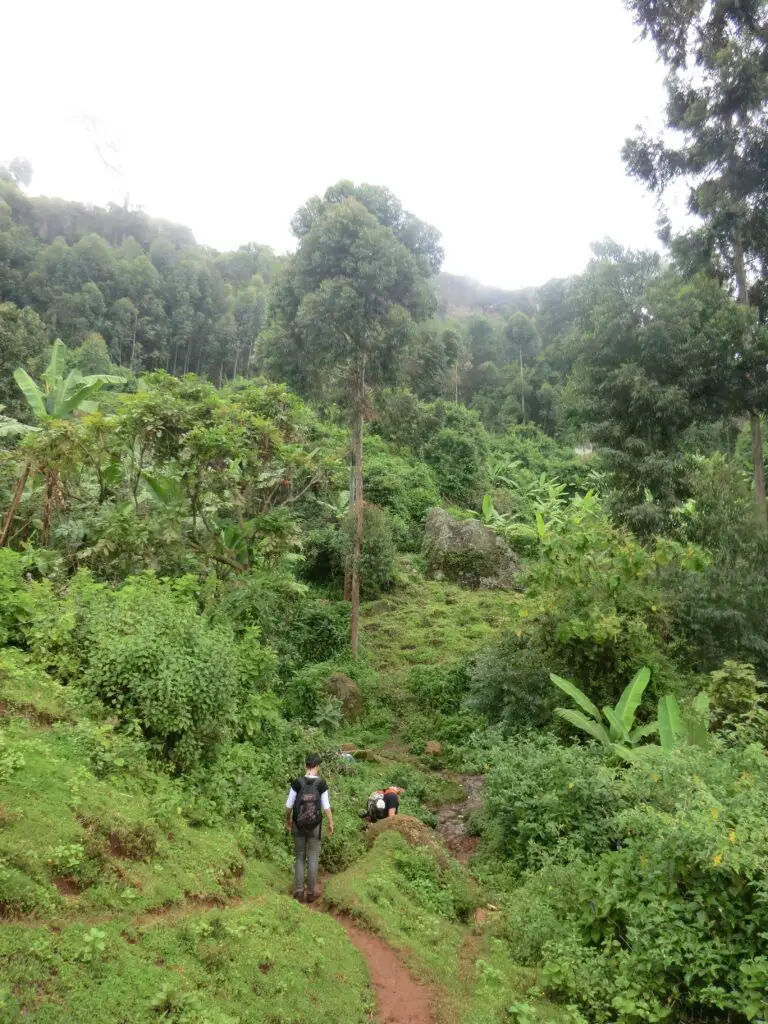 Two people walking along an overgrown cliff-face