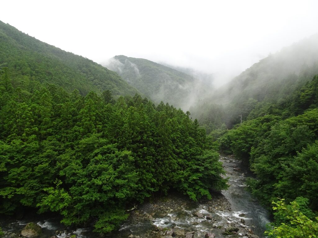 shikoku island tourism