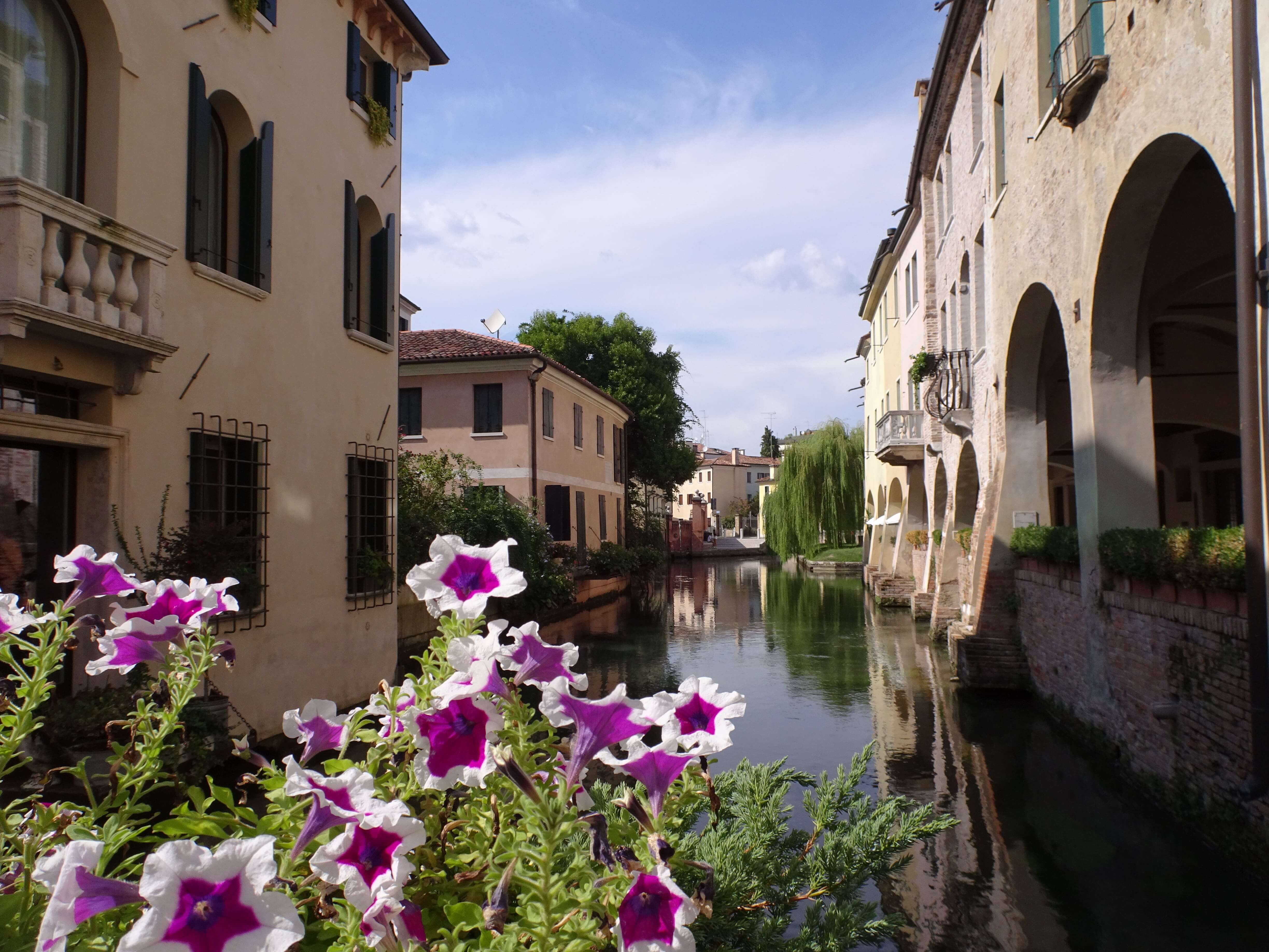 A small canal seen over a pot of purple flowers