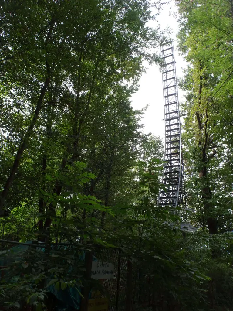 A tall roller coaster in the forest