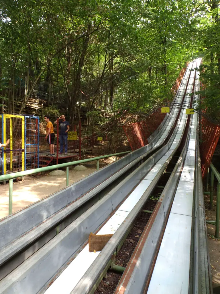 A long metal slide in the forest