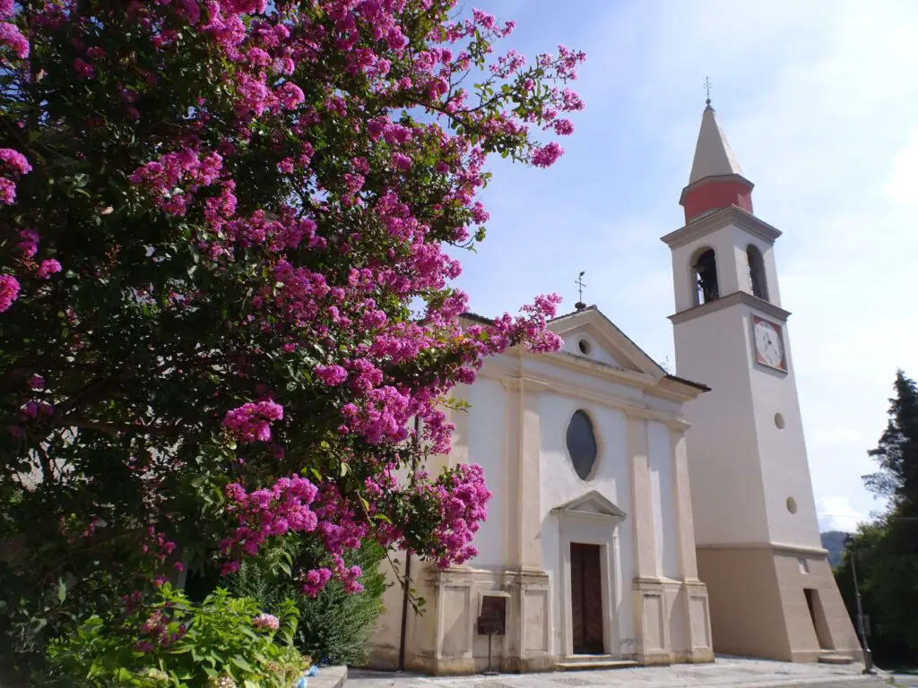 A white-facaded church with a blossoming bush in the foreground