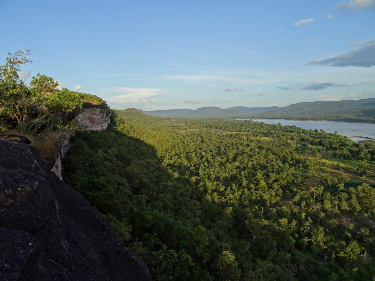 A broad river surrounded by trees seen from the top of a tall cliff