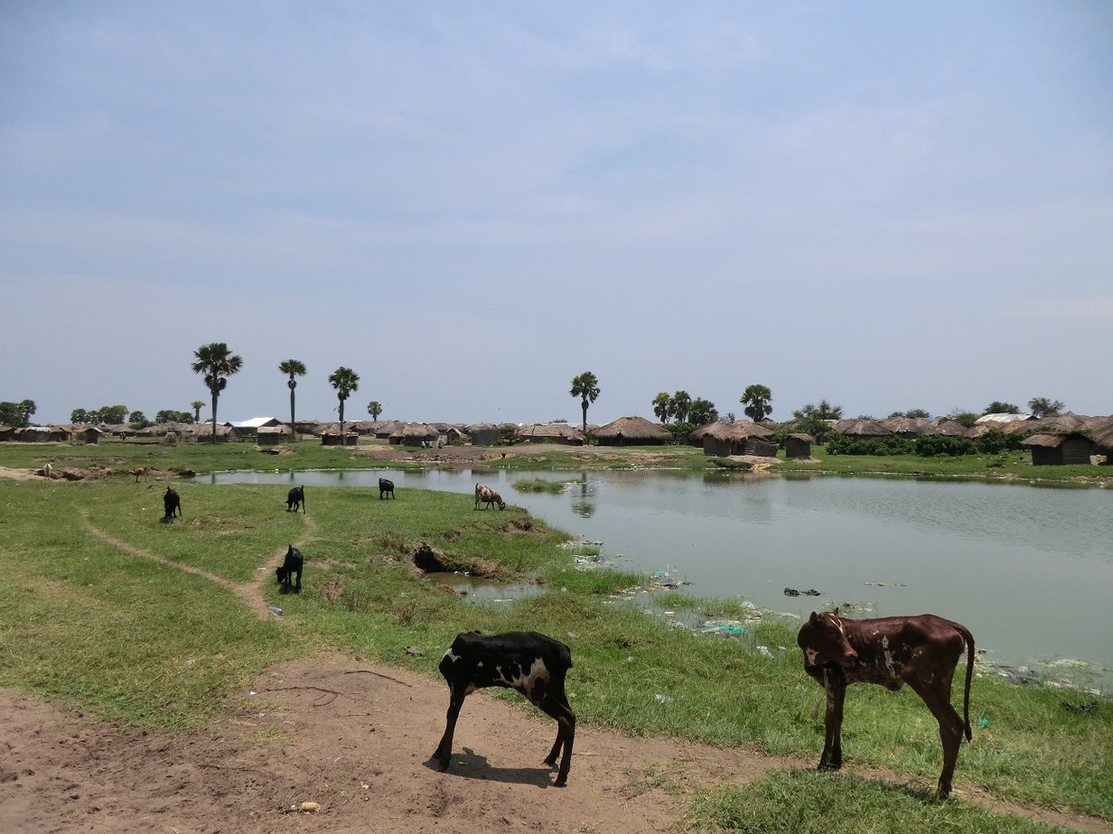 Visiting Butiaba Fishing Village at Lake Albert, Uganda