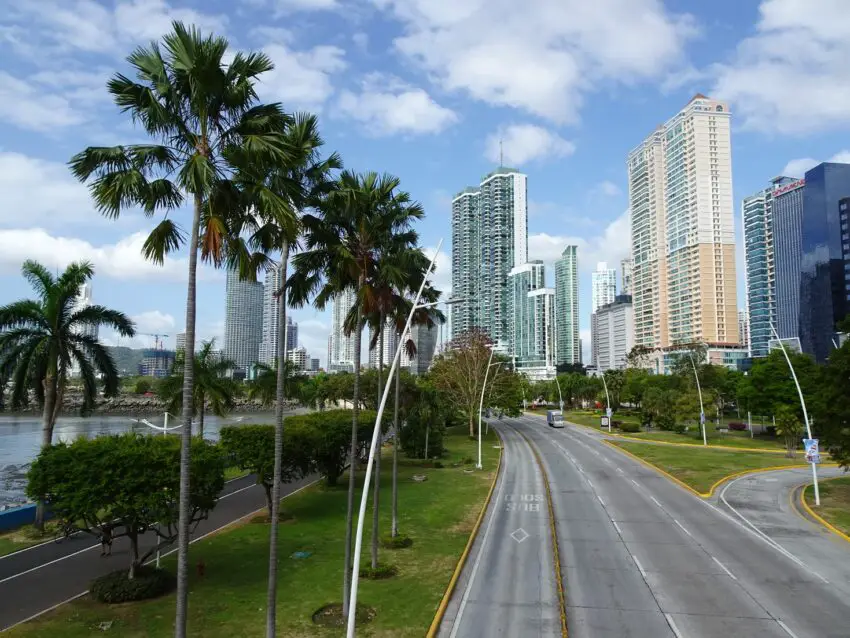 A broad boulevard framed by skyscrapers on one side and palm trees on the other