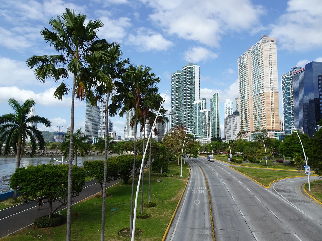 A broad boulevard framed by skyscrapers on one side and palm trees on the other