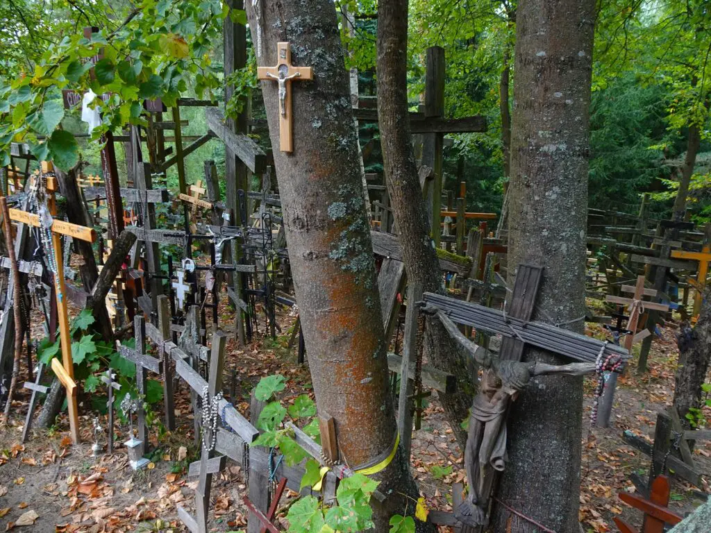 Hundreds of wooden crosses surrounded by trees