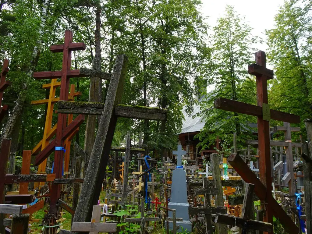 Hundreds of wooden crosses surrounded by trees