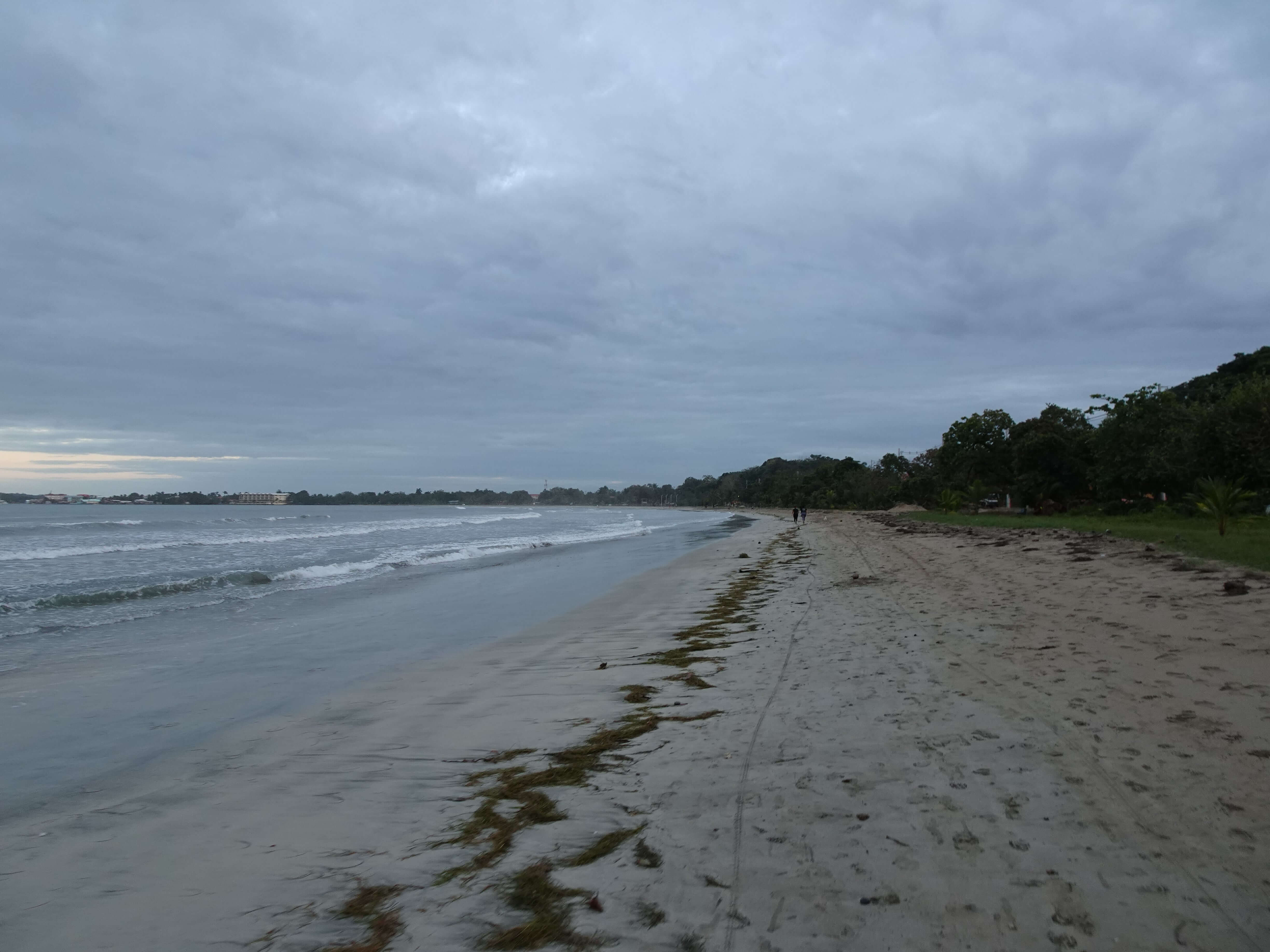 A broad beach backed by vegetation