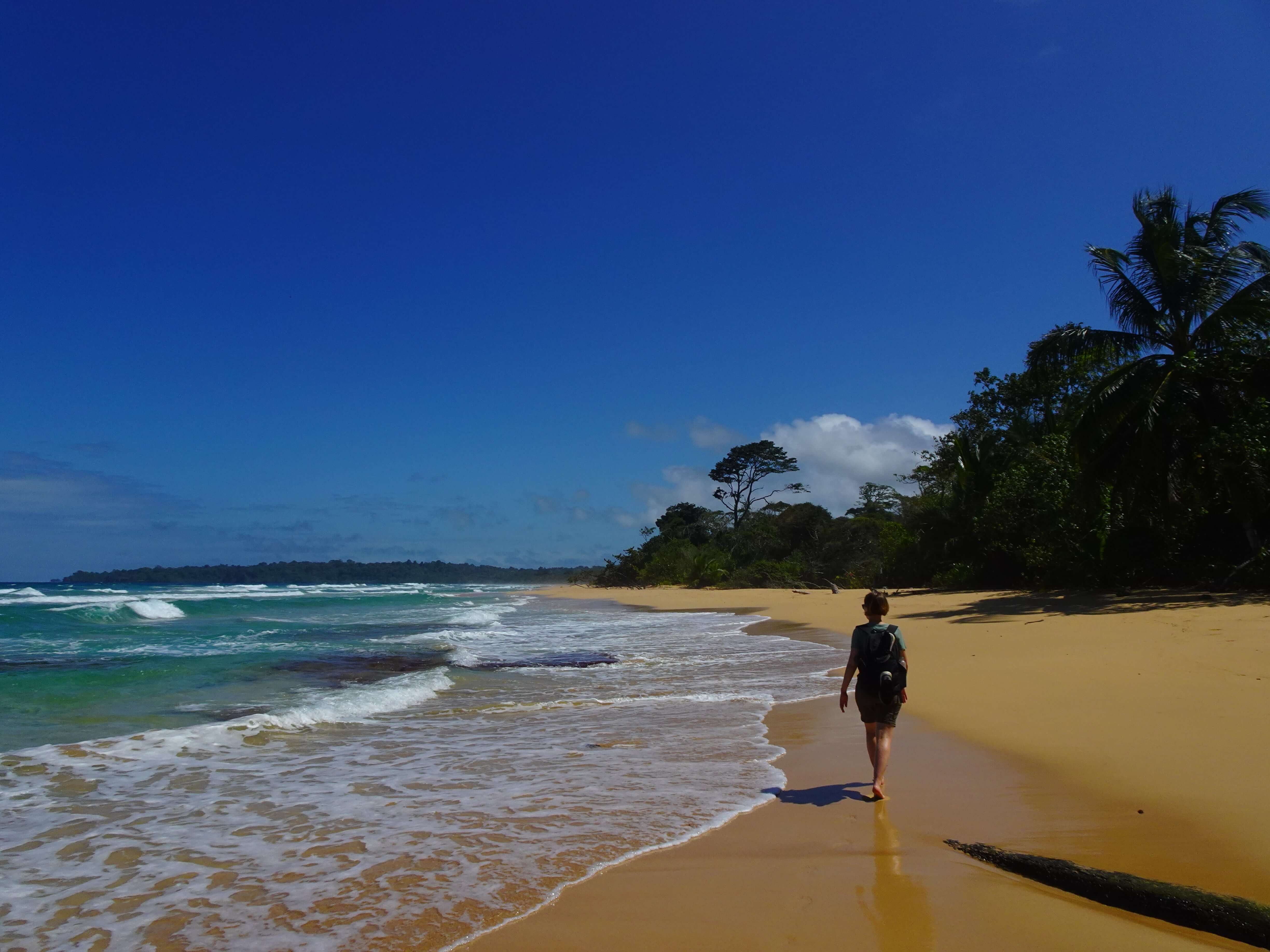 A woman walking along a tropical beach, seen from behind