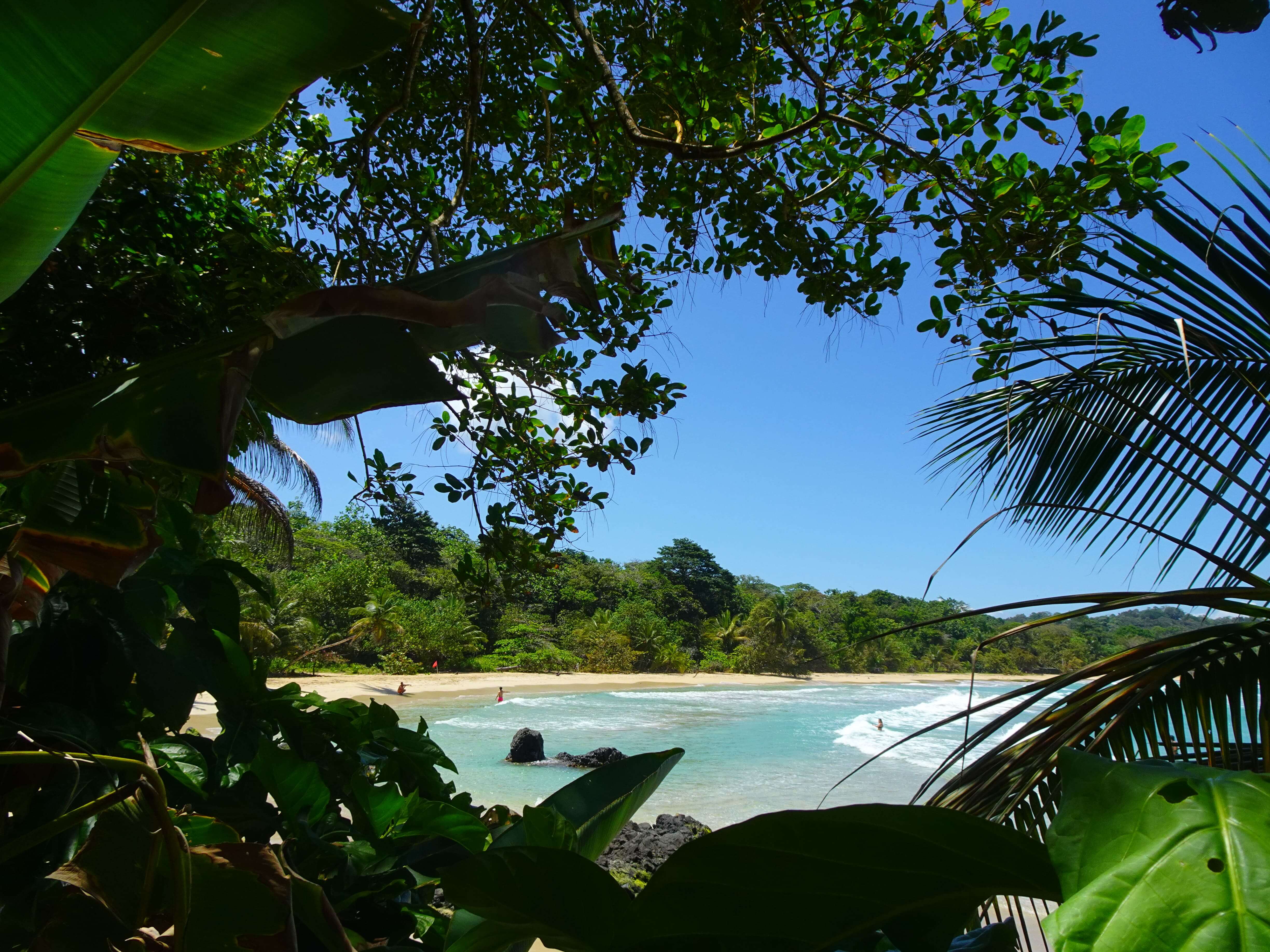 A tropical beach framed by tropical vegetation