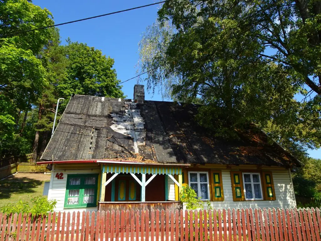 A brightly-painted wooden house surrounded by trees