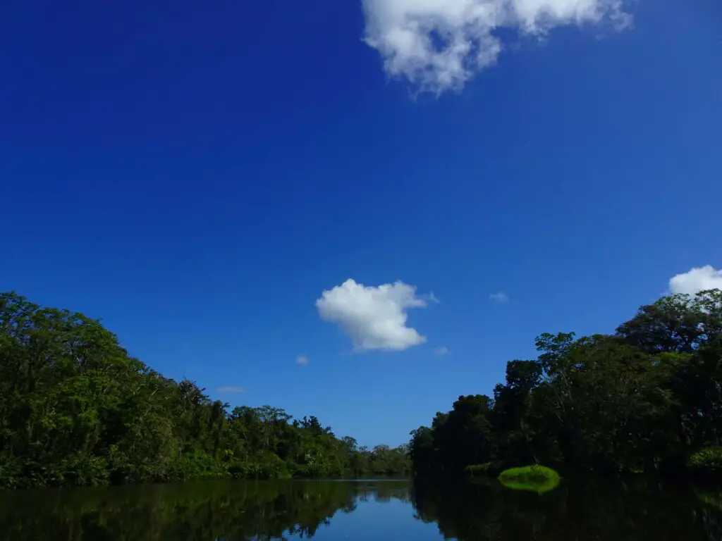 A broad tropical river framed on both sides by dense vegetation