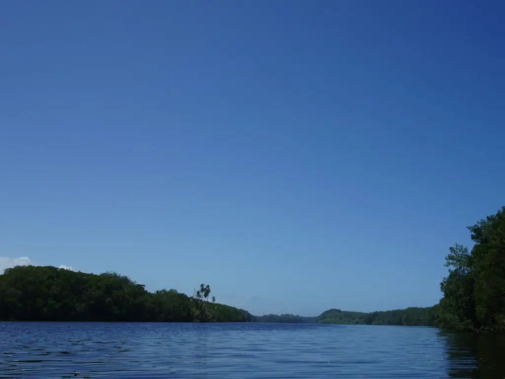 A broad tropical river framed on both sides by dense vegetation