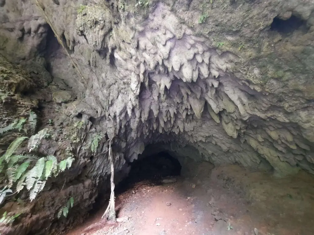 A cave entrance full of stalactites