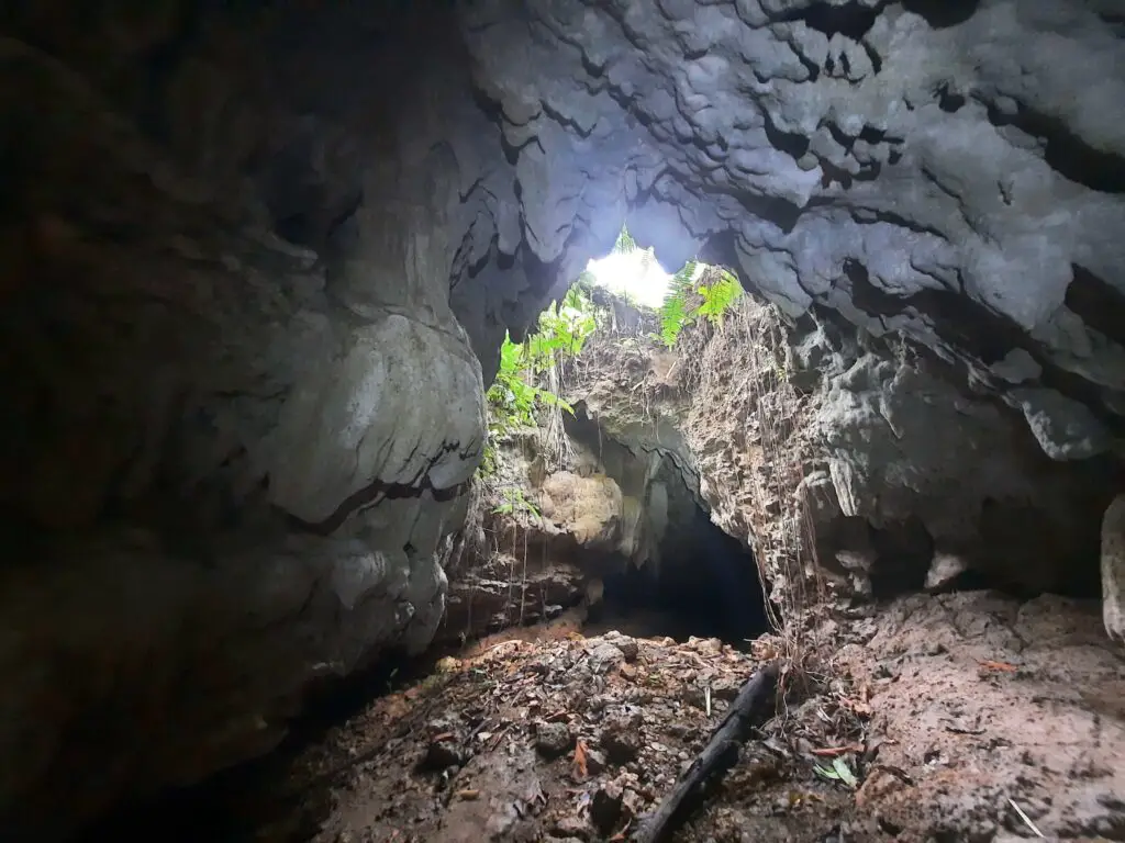 A tall cave with the sun shining through an opening in the ceiling