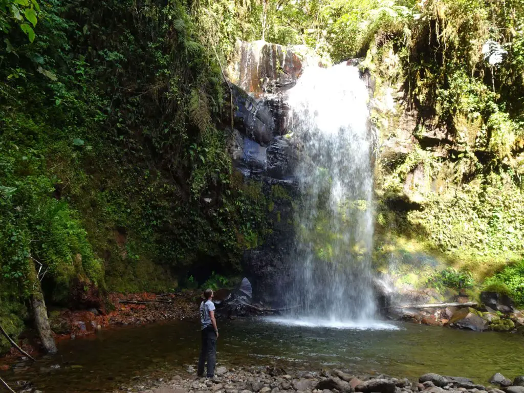 A man looking at a waterfall