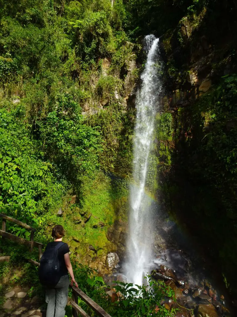 A woman seen from behind looking at a tall waterfall