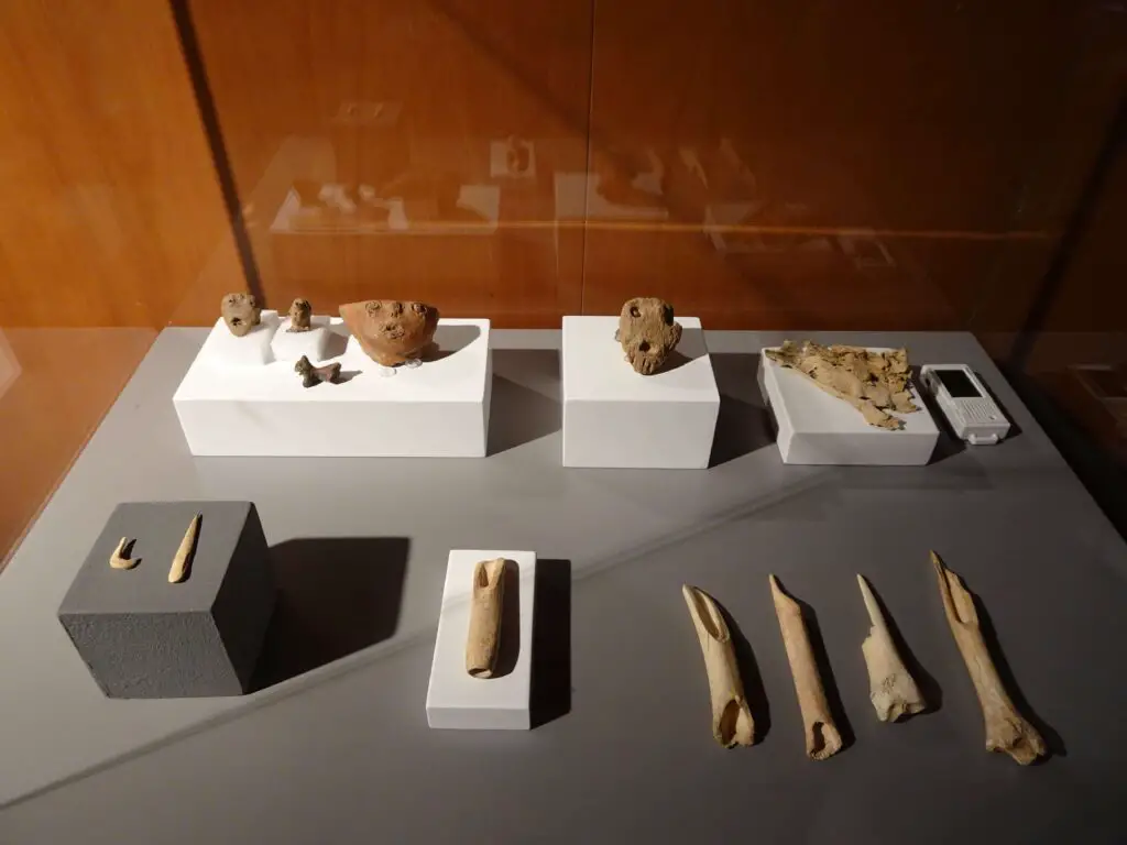 A museum display case of prehistoric bone and pottery artefacts