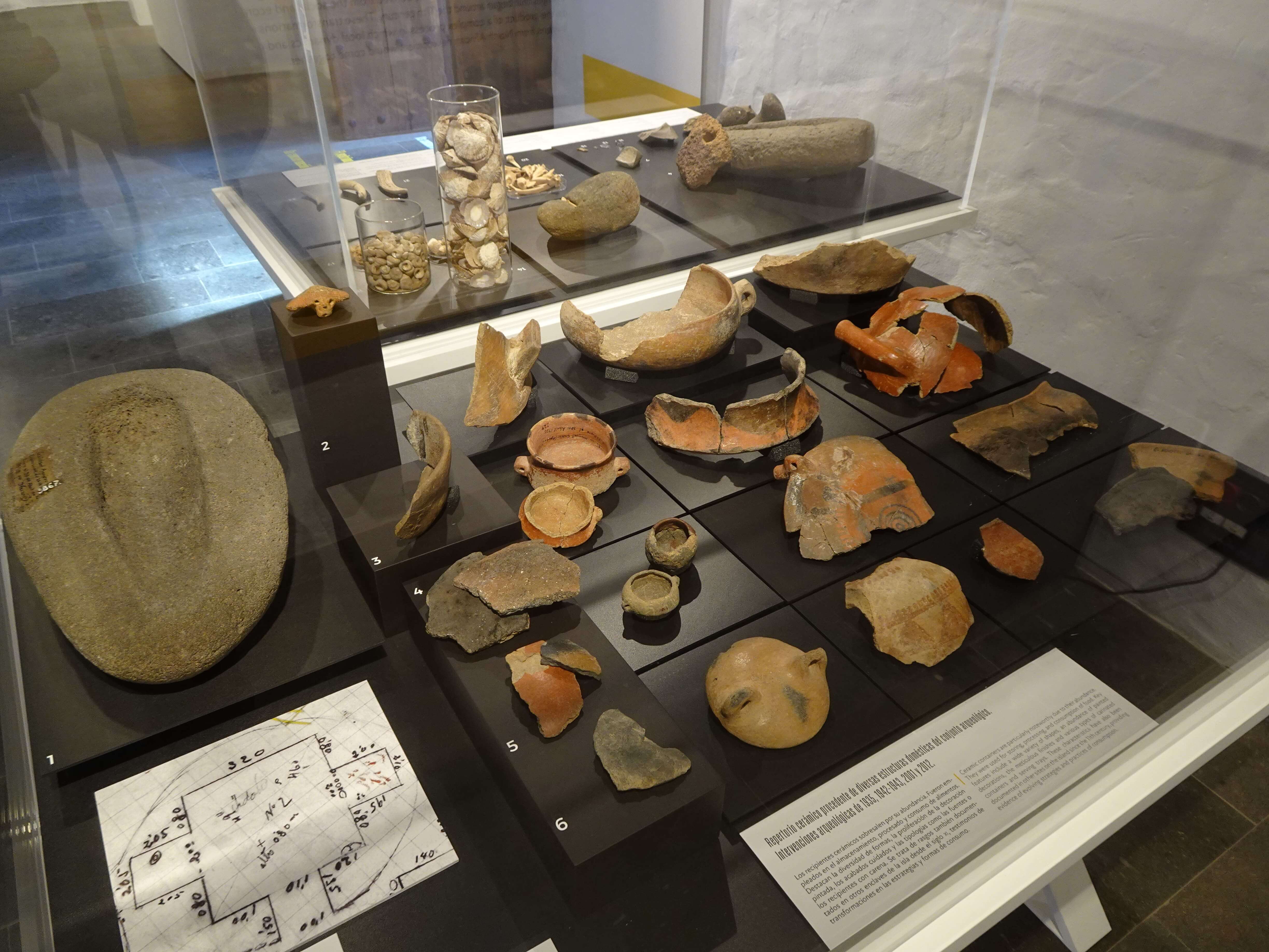 A display case in a museum containing various prehistoric artefacts