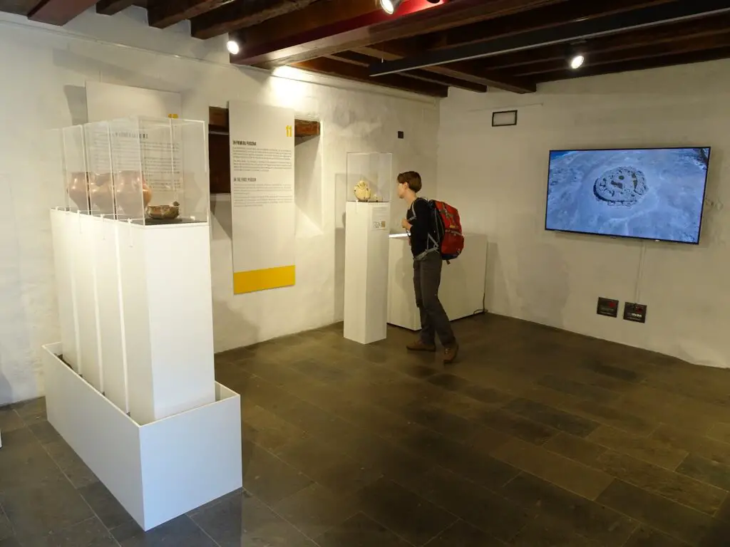 A woman looking at a display case in a museum