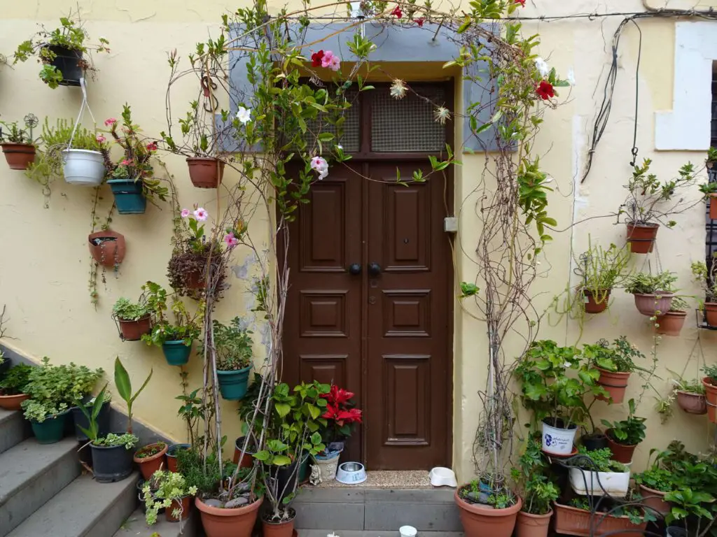 A wooden door framed on all sides by flower pots